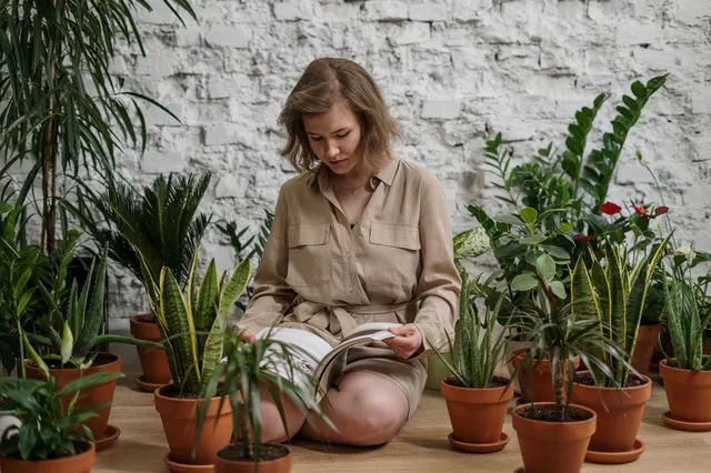 Growboxy, czyli marsjańska uprawa w domu
